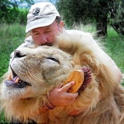 Le soigneur et le lion