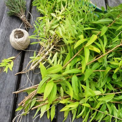 nouvelle luminosité