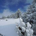 Crête des Ramées (Lans en Vercors - La Sierre)