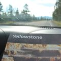 USA 2015 jour 8 Yellowstone 