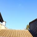 Les TOUTES TOUTES DERNIERES AMBIANCES HIVERNALES 