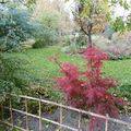 le dernier tour de magie de l'automne