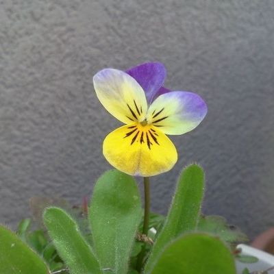 Parce que le printemps est enfin là!