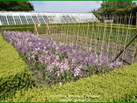 Les jardins perdus d'Heligan en Cornouailles anglaises