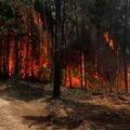 Incendie au Portugal