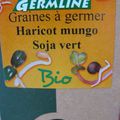 Haricot mungo ou soja vert (graines germées)