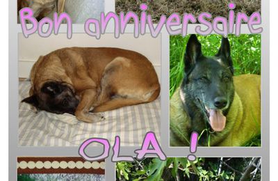 Bon anniversaire OLA !