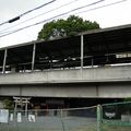 Kayashima, la gare avec un arbre au milieu