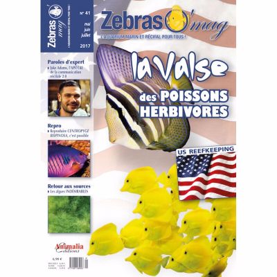 Le Nouveau Zebraso'mag en approche! numéro 41