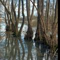 LES PIEDS DANS L'EAU Notre si jolie campagne est