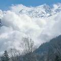 N'ont pas échappé à l'avalanche