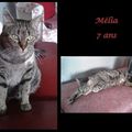 ♡ Douce Mélia ♡ adoptée 