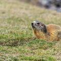 Début de Printemps en montagne