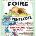 Ce week-end : foire de pentecôte à Saint-Amand en Puisaye !