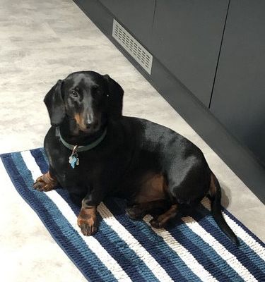 Pep's et les travaux de la salle de bain