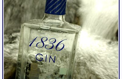 Gin Belge Bio Radermacher 1836