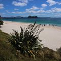 Cathedral cove et hot water beach