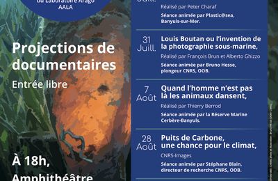 Programme des projections des mois de juillet août septembre 2024