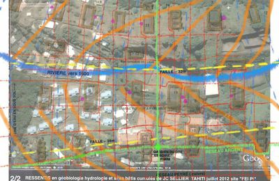28 - Quartier FEI-PI à ARUE TAHITI : DANGER !