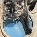 [GRIF' Abrite] Détartrage et extraction dentaire pour Kamala, 14 ans.