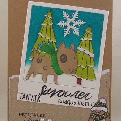 Carte avec un Pola ;-)