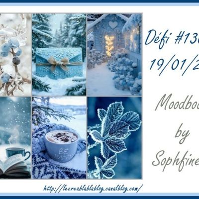 Défi #130 du 19 janvier 2026 - Un moodboard hivernal