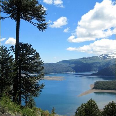 Une journée chez les Pehuenches