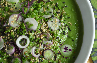 VELOUTÉ FROID, AVOCAT & CHOU KALE