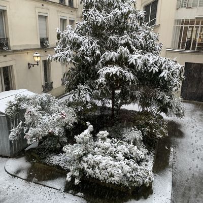 Une fête des Rois sous la neige cette année !