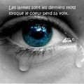 Tristesse et effroi 