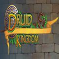 Fuze Forge vous propose le jeu Druid Kingdom