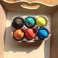 Boîte à œufs pour tris de couleurs