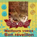 Bon réveillon