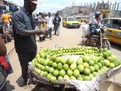 La Goyave camerounaise a un grand potentiel