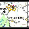 CHANTELOUP-LES-BOIS (49) - LE TRAITRE PORCHER