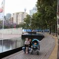 Day n°7 : Sydney : Darling Harbour, L'aquarium et le jardin chinois