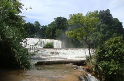 Agua Azul & Misol Ha