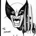 Wolverine by Jusko
