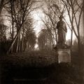 Eugène ATGET "Parc de Sceaux" 1925