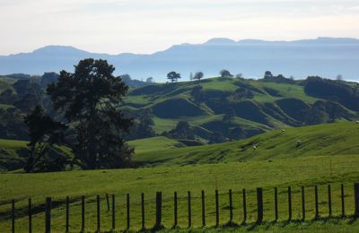 Hobbitebourg, Matamata