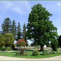 ♥ Découvrons Loches ; son jardin municipal - Edit ♥