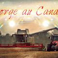 L'orge au Canada