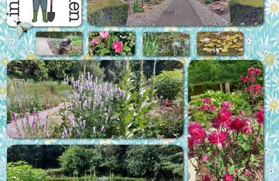 * Le jardin des plantes Paul Moens à Woluwe