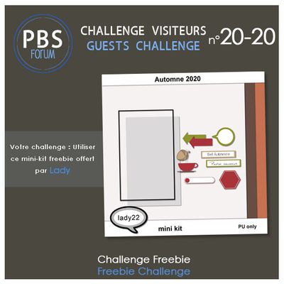 Challenge Visiteurs 20-20 @ Publiscrap