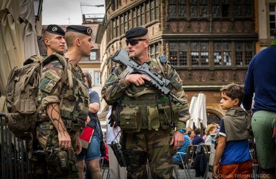 Les sentinelles veillent…