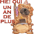 joyeux anniversaire