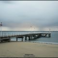 bassin d'arcachon