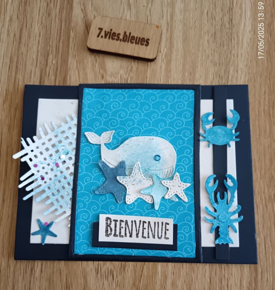 de 7 VIES BLEUES 1ère colonne et 3ème ligne