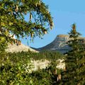 Les Murgets 'Corrençon en Vercors)