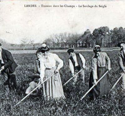 Armand et Louise : 03 - Semaine du 31 août au 6 septembre 1914